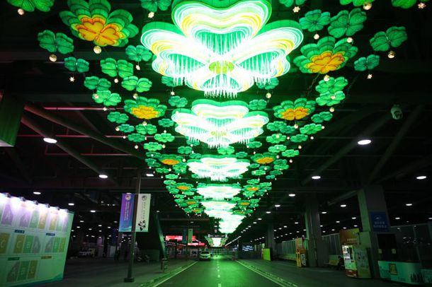 2月24日是什么星座 2月24日是什么星座