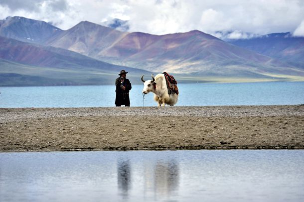 口水球佩戴后流口水视频讲解 口水球佩戴后流口水视频讲解